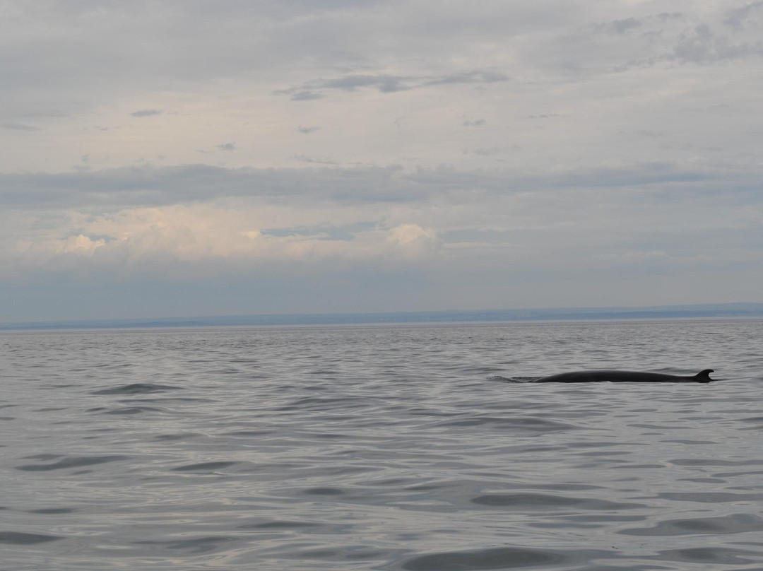 Croisieres Charlevoix-Saint-Simeon必去景点