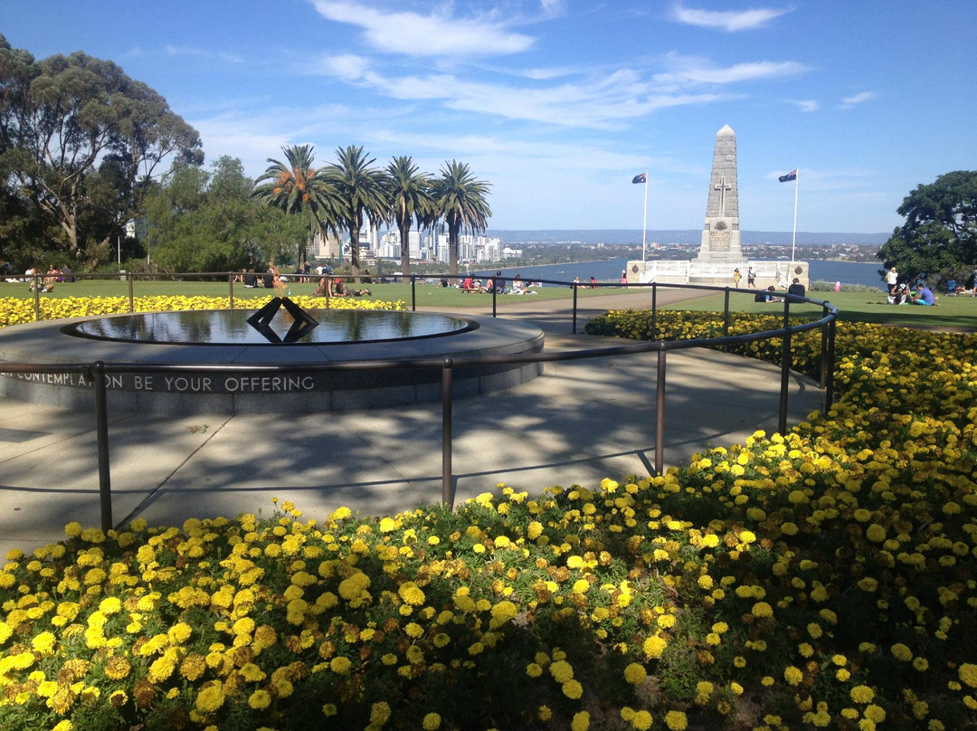 国王公园及植物园-珀斯必去景点