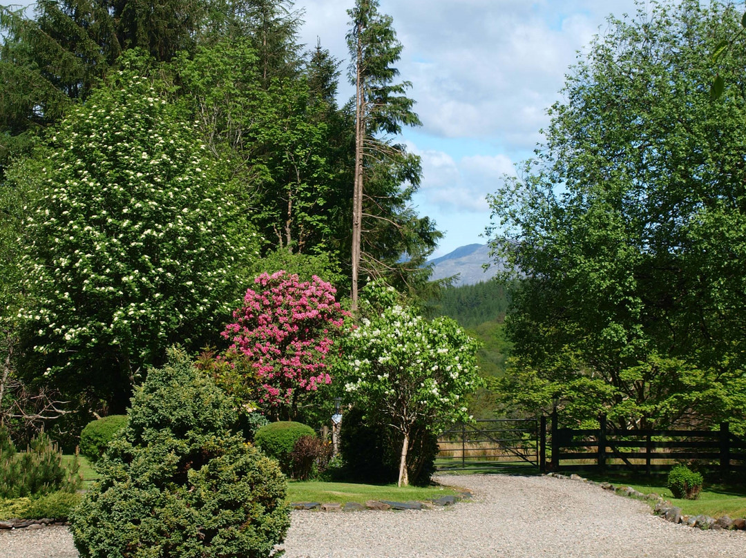Bealach Country House主图