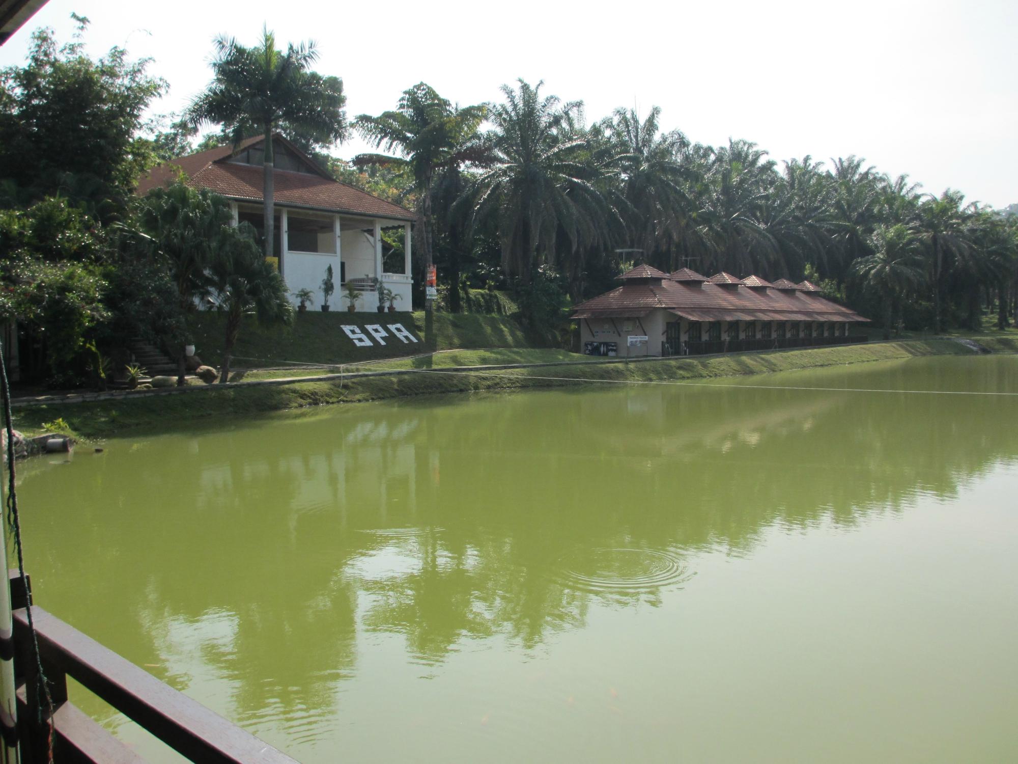 Bukit Kinding Resort-餐饮