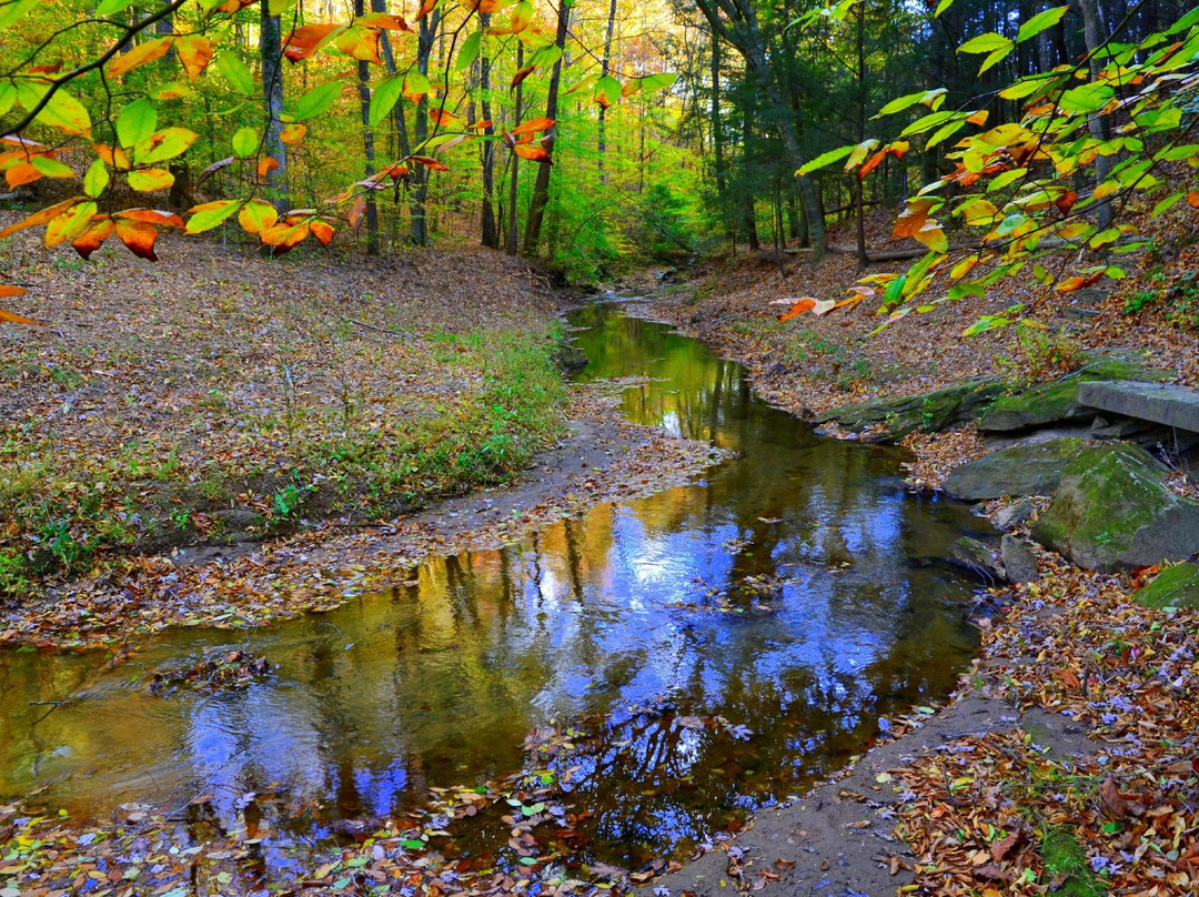 Adawehi Bed & Breakfast主图