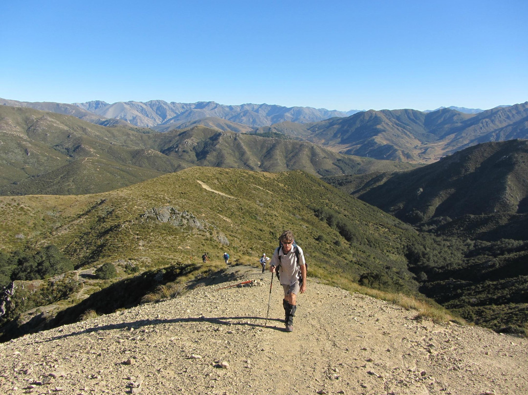 Hiking New Zealand- 朗基欧拉必去景点