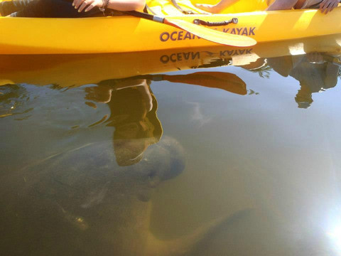 Shan-T Native Kayak Tours, Inc.-布雷登顿必去景点