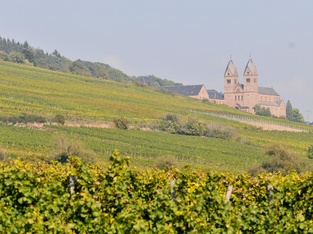Rheingau Tours-Eltville am Rhein必去景点