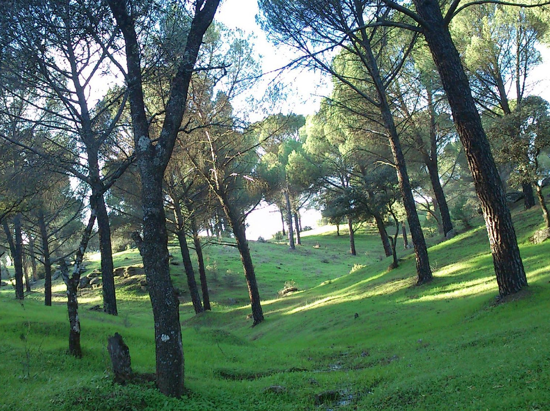 Parque Natural Sierra de Andujar景点图片
