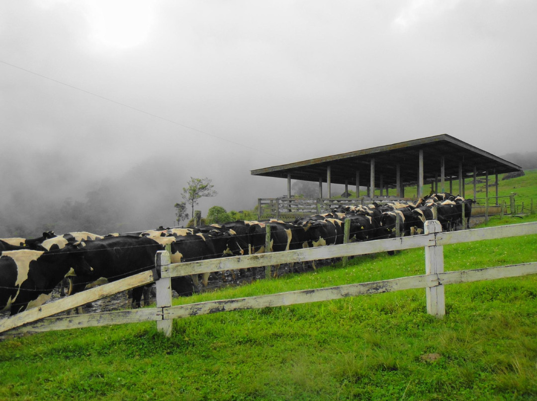 牛场-昆达山必去景点