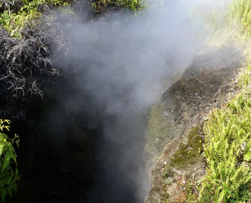 Ricky's Tours-希洛必去景点