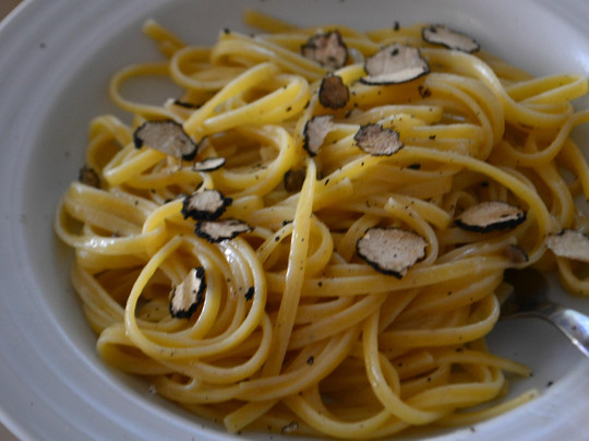 The Truffle Hunter-佛罗伦萨必去景点