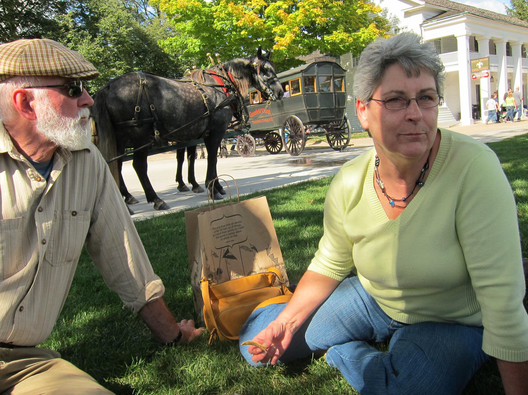 格林费德村-迪尔伯恩必去景点