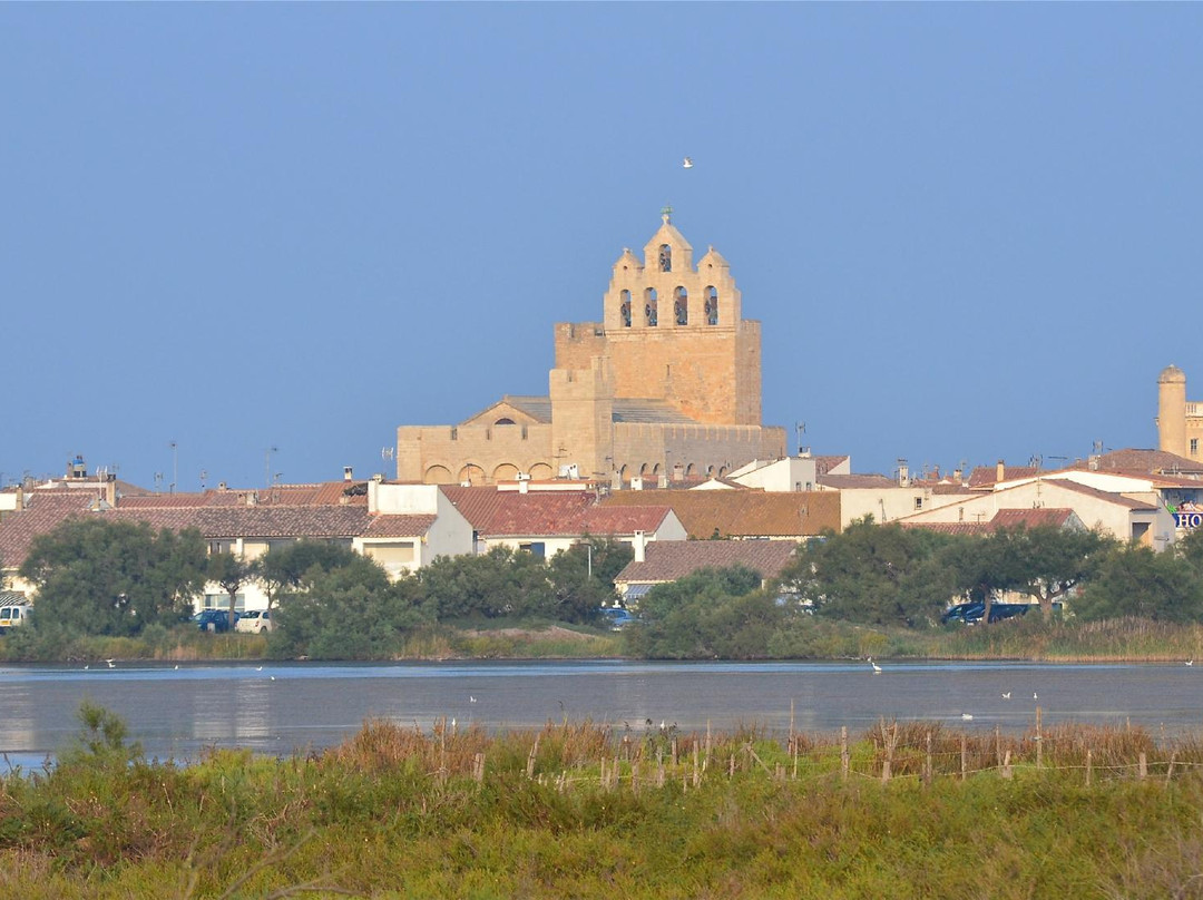 La Provence de Claire Tours-阿维尼翁必去景点