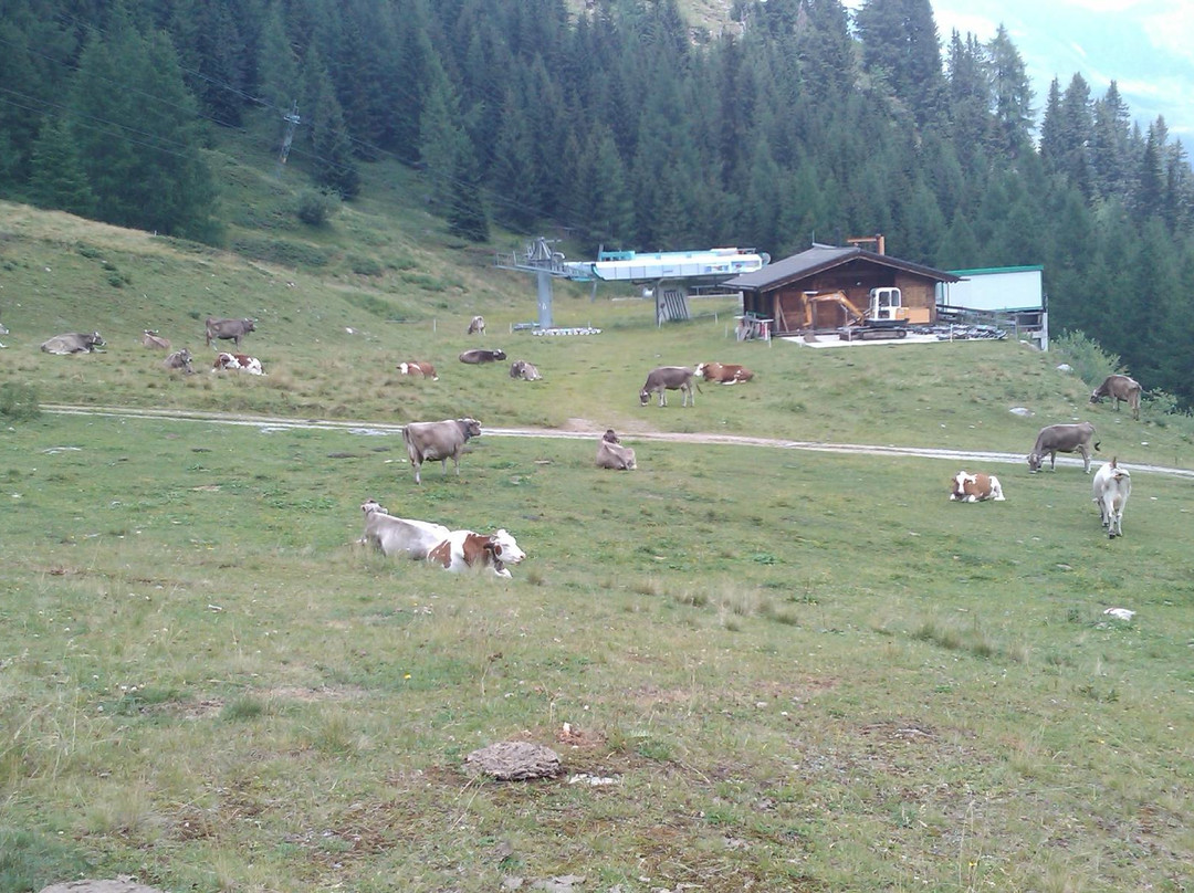 Funivie Airolo Valbianca景点图片