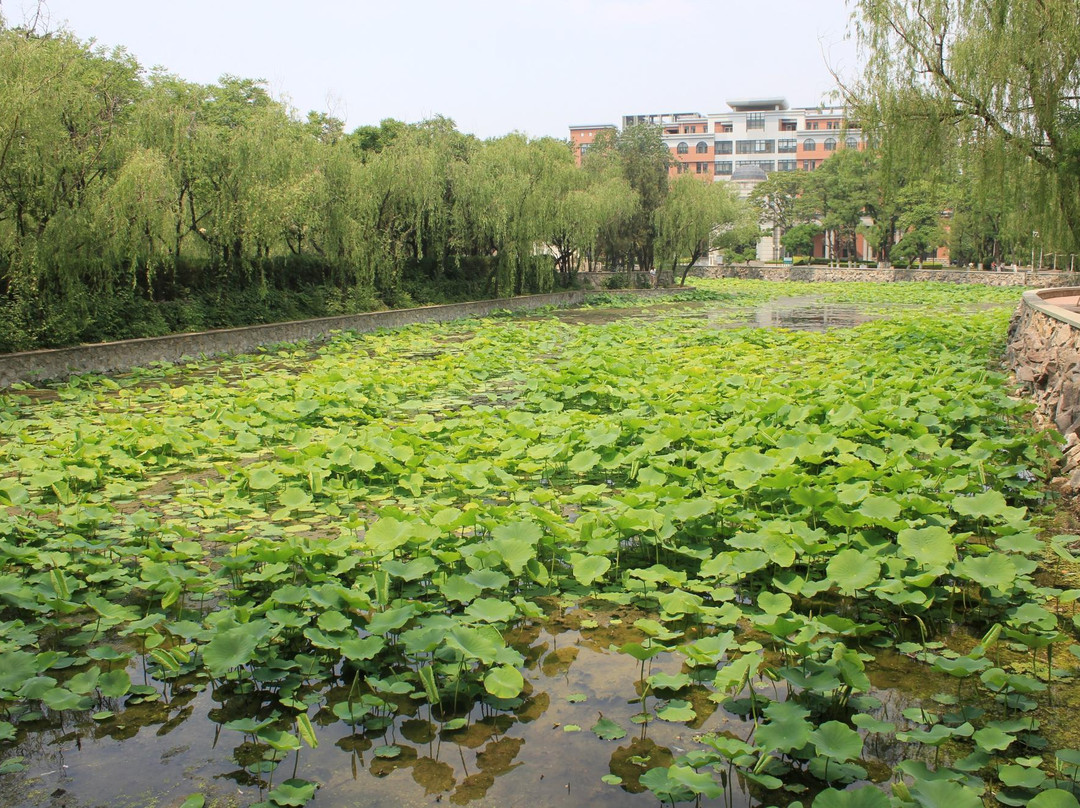 南开大学-天津市必去景点