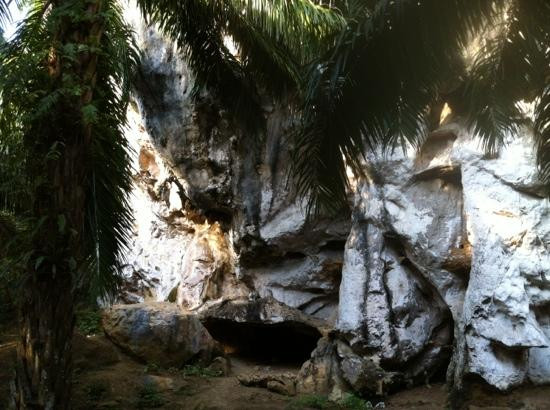 Raipreda Homestay主图