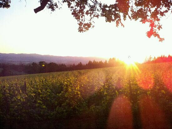 Equestrian Wine Tours-Carlton必去景点