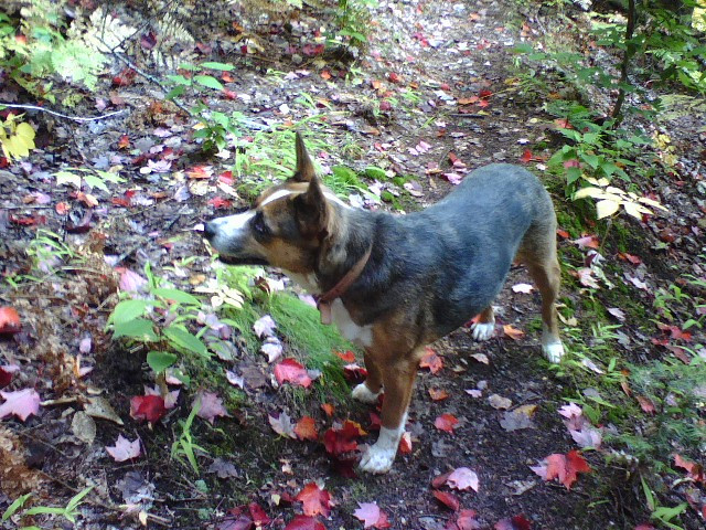 Valley Spur-缪尼辛必去景点