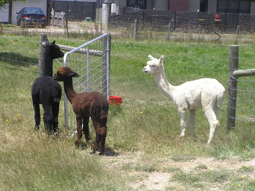 Creswick Woollen Mills-Creswick必去景点