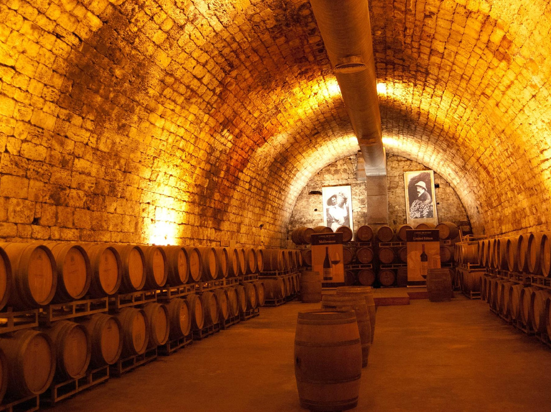 Carmel Winery-Zichron Yaakov必去景点