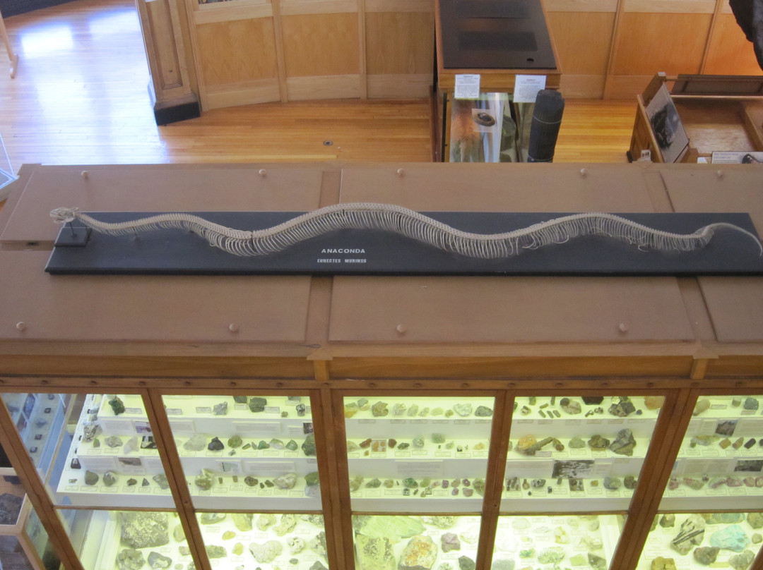 Musée Redpath-蒙特利尔必去景点