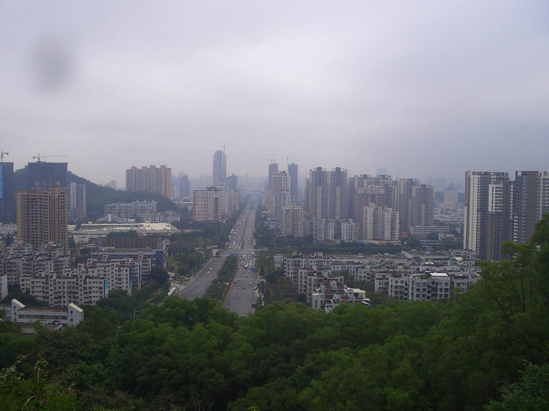 板樟山森林公园-珠海市必去景点