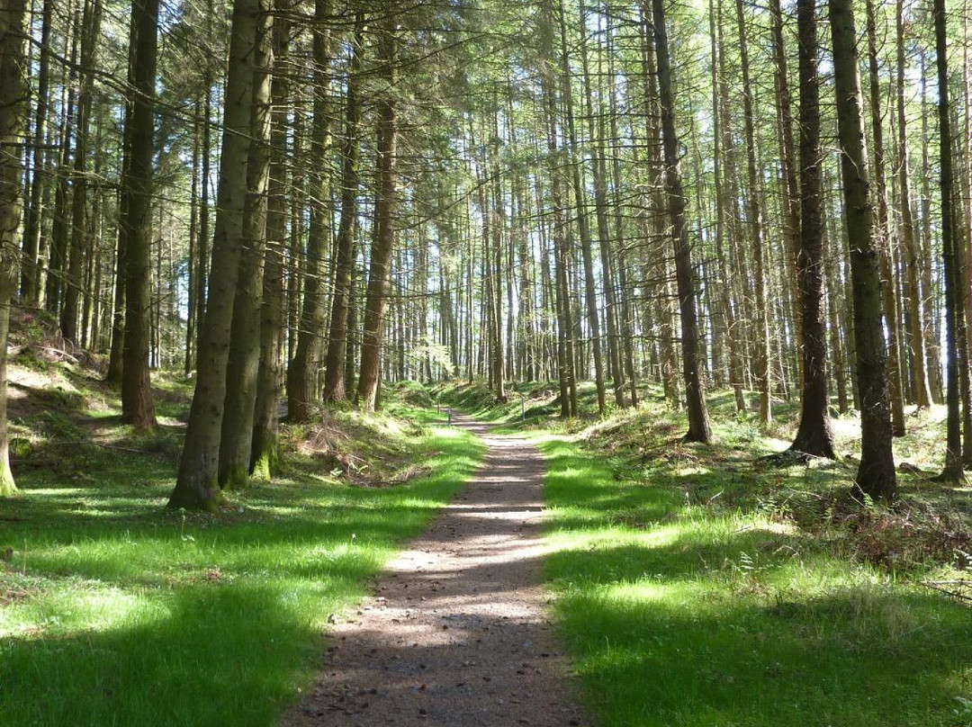 Galloway Forest Park-Galloway Forest Park必去景点