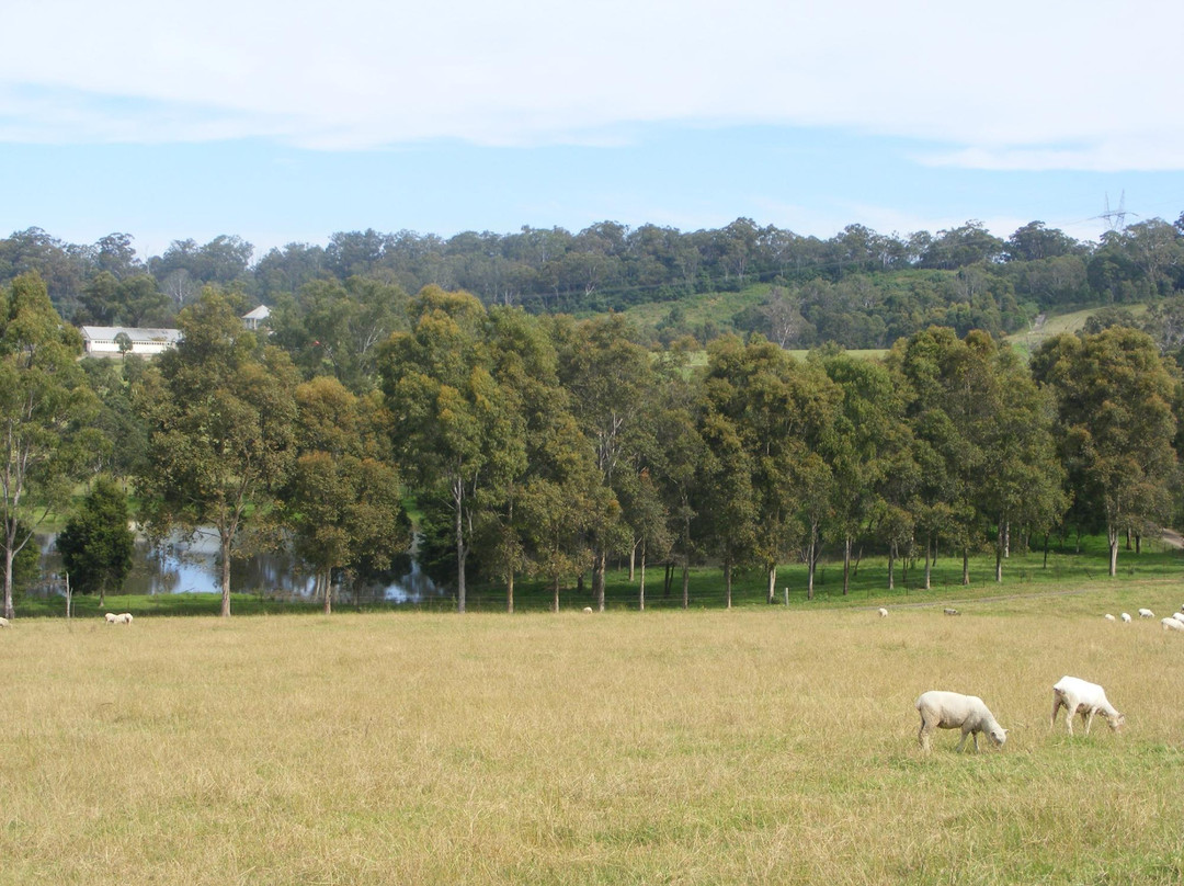 费尔非尔德市农场-悉尼必去景点