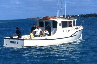 Bermuda Reef Fishing-百慕大必去景点