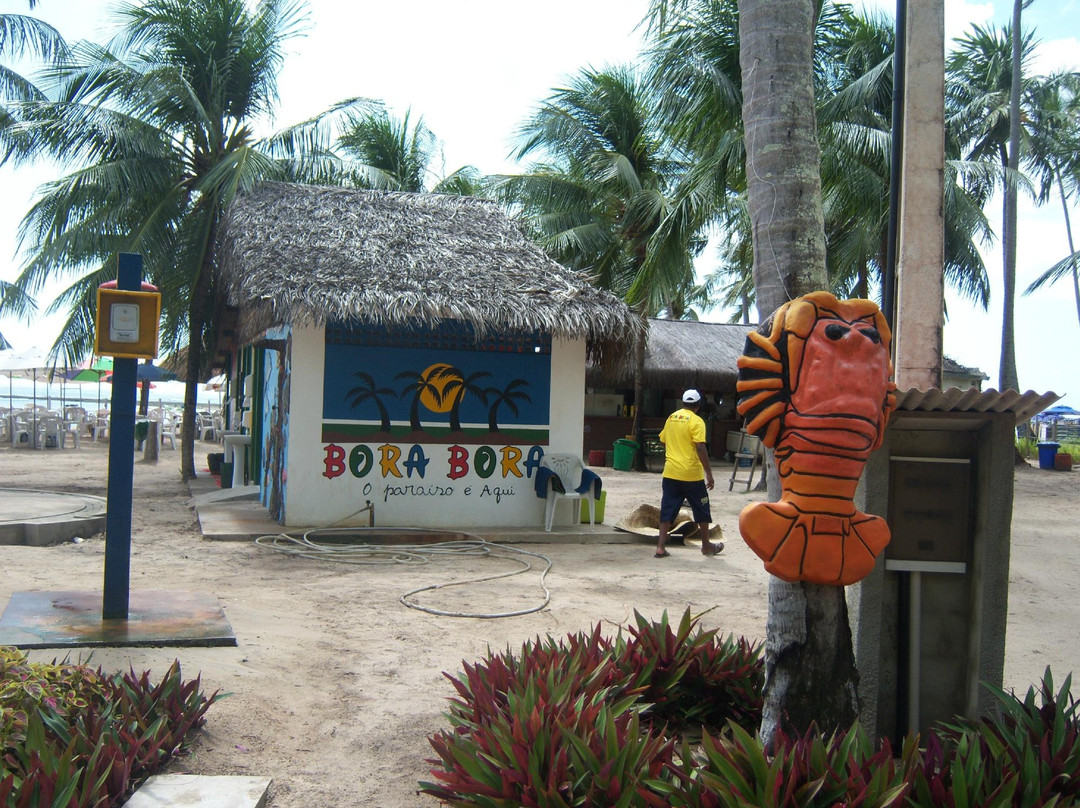 Praia dos Carneiros-Tamandare必去景点