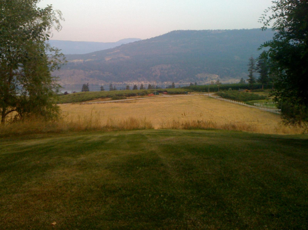 Orchard Lane Bed and Breakfast主图