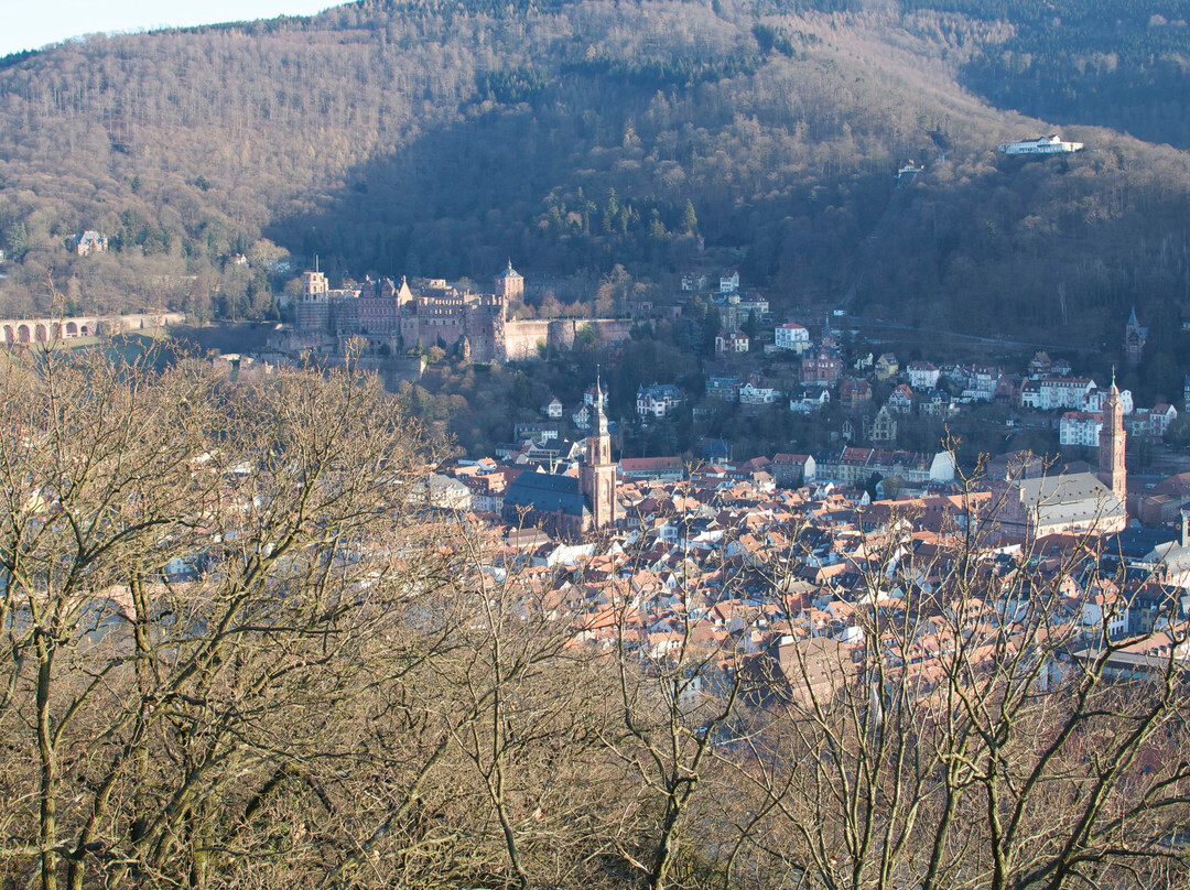 Bismarck Tower (Bismarckturm)景点图片