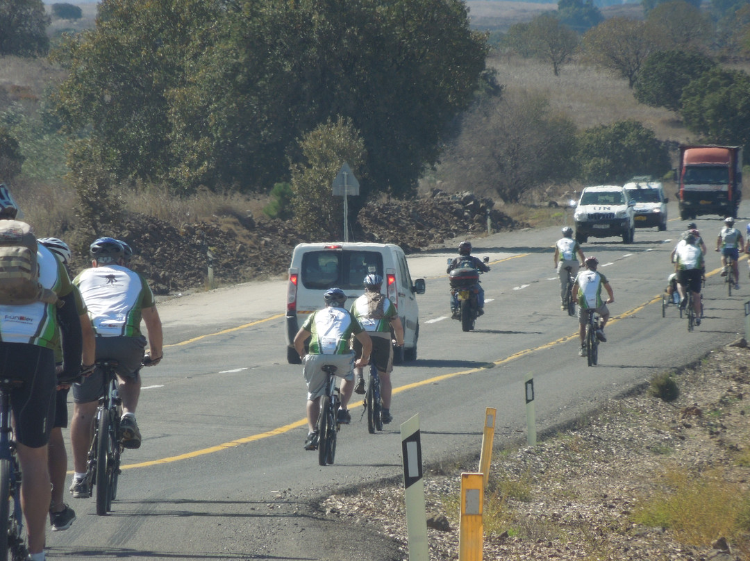 BIke Tel Aviv-特拉维夫必去景点