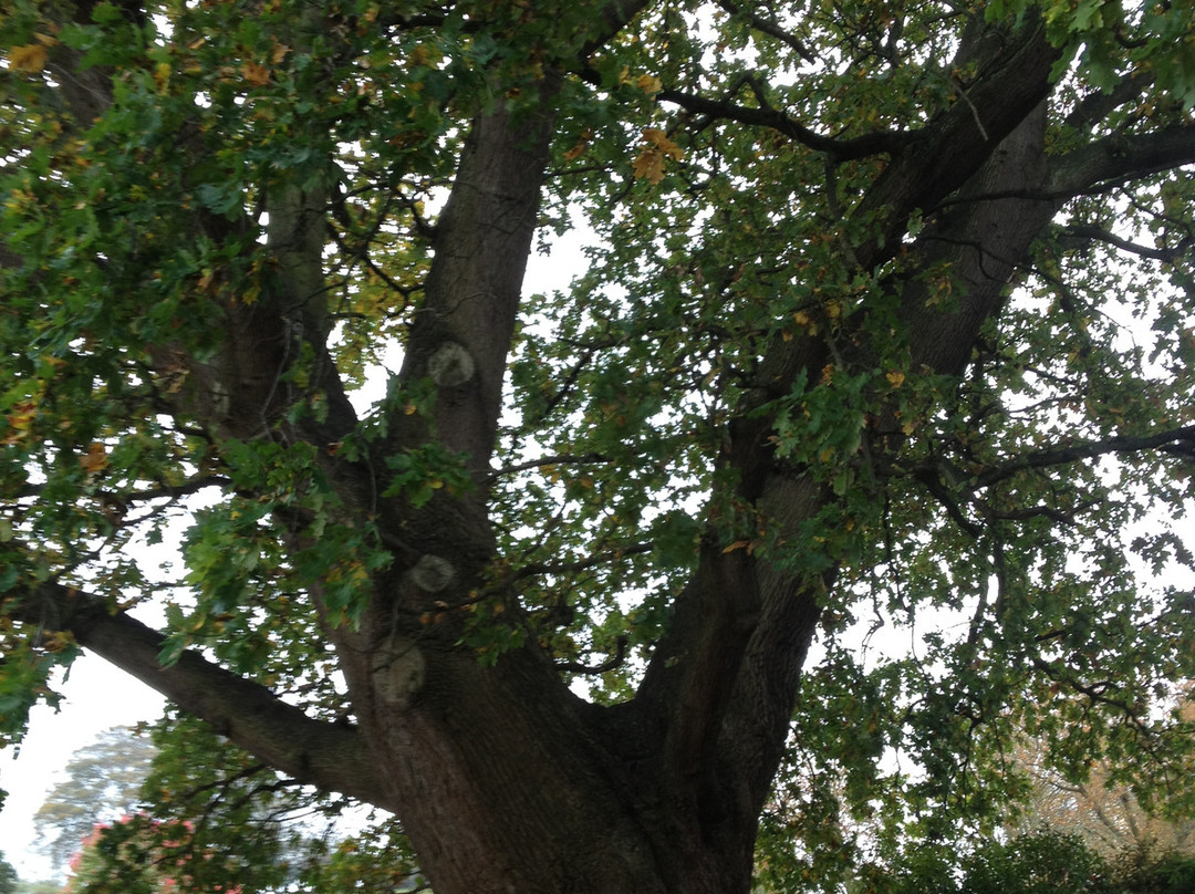 Chalice Hill House主图