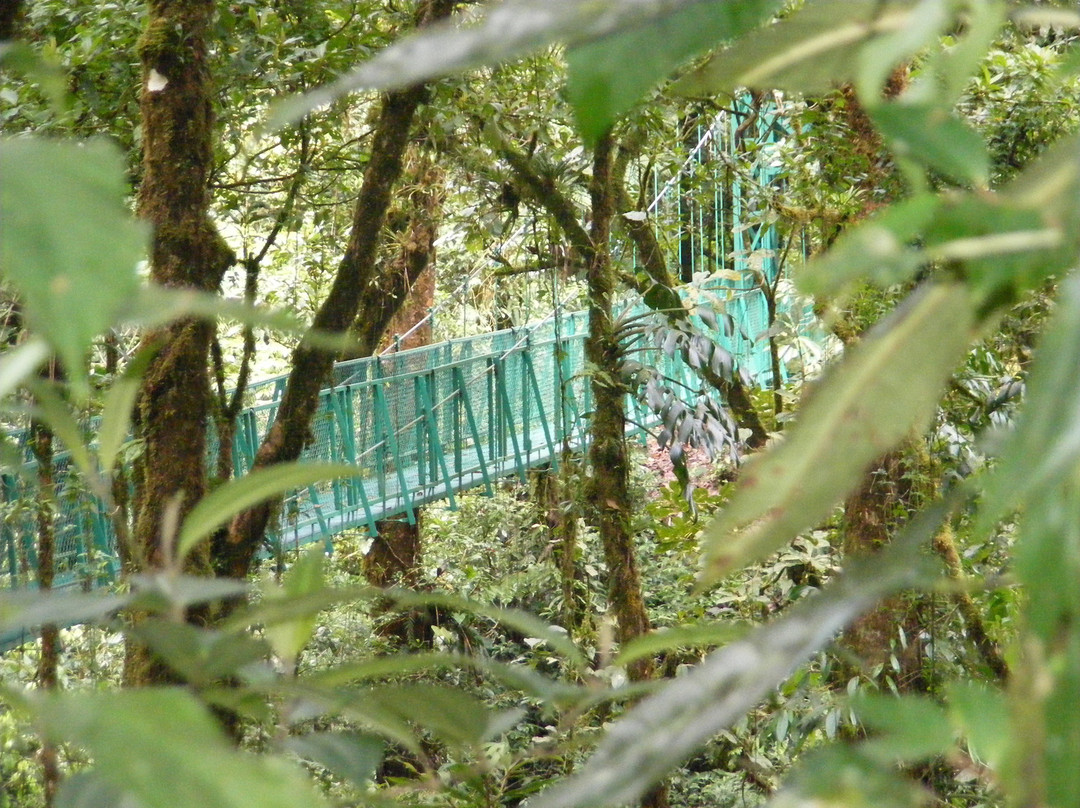 El Trapiche Tour-蒙特沃德必去景点