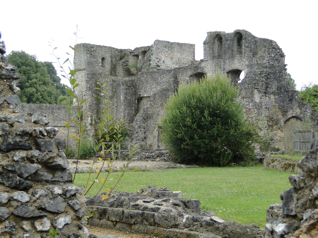 Wolvesey Castle景点图片