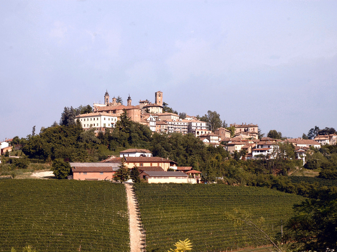 Fattoria San Giuliano