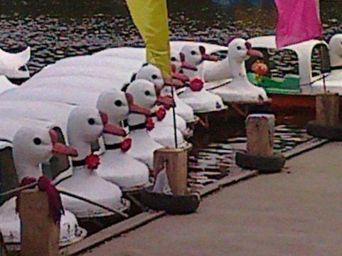 南湖公园-沈阳市必去景点