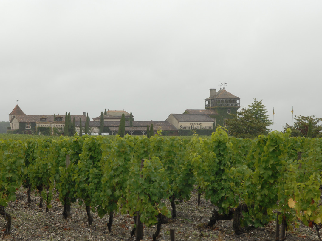 Chateau Smith Haut Lafitte景点图片