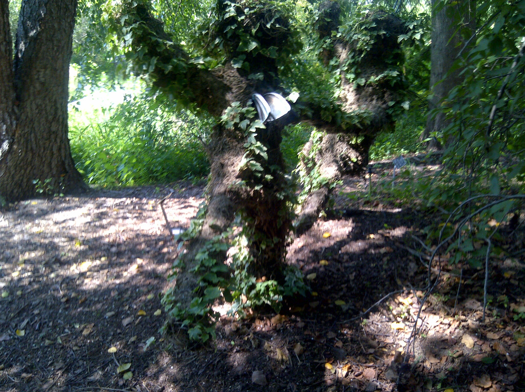 Lewis Ginter Botanical Garden-里士满必去景点