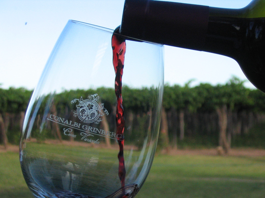Conalbi Grinberg Casa Vinicola-Maipu必去景点