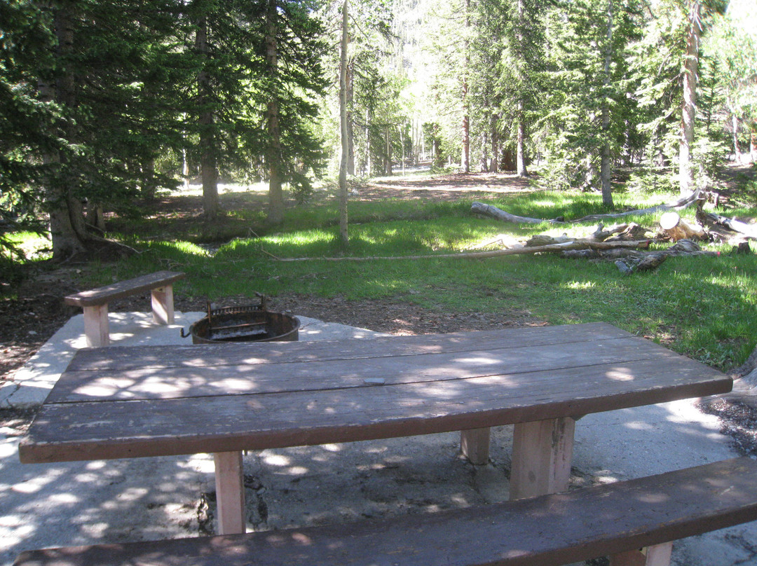 Wheeler Peak-Great Basin National Park必去景点