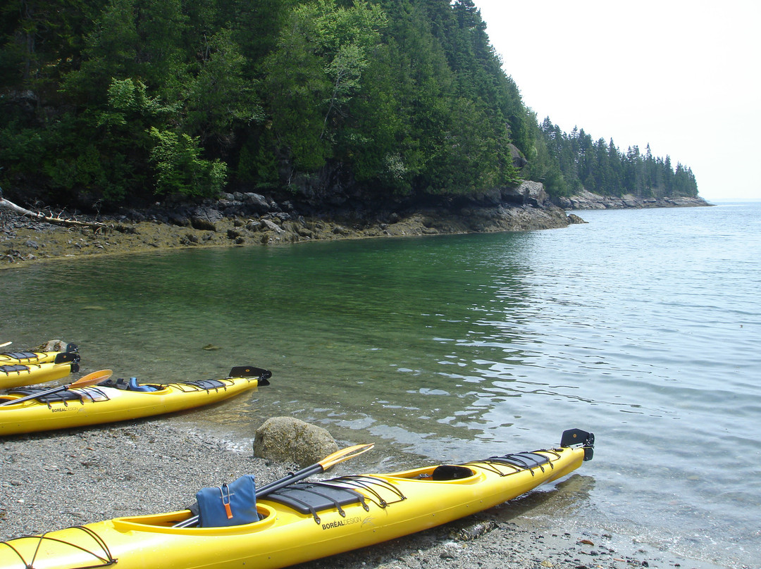 Maine State Kayak & E-Bike景点图片