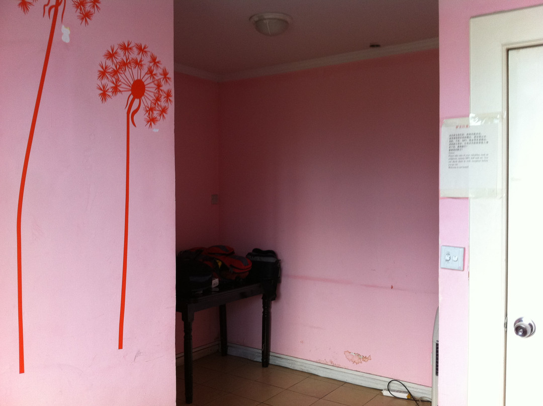 白桦林国际青年旅舍主图