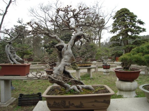 西园寺-苏州市必去景点