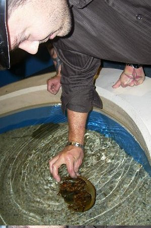 莱利大烟山水族馆-盖林柏格必去景点