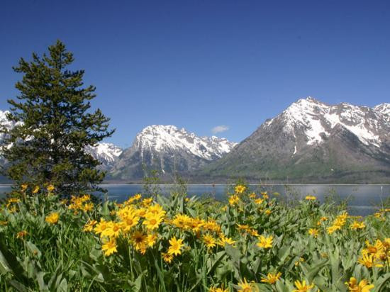 大提顿山-大提顿国家公园必去景点