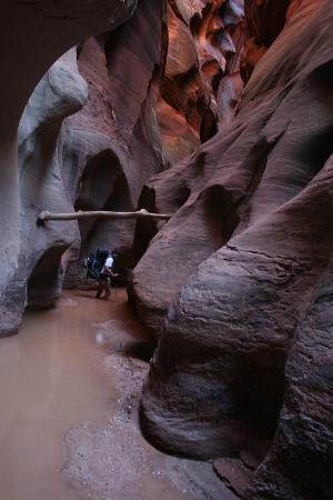 Buckskin Gulch-卡纳布必去景点