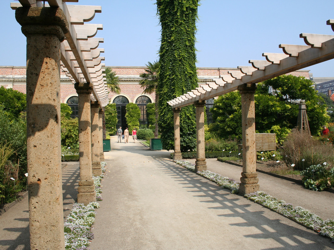 Botanical Garden Kruidtuin-鲁汶必去景点