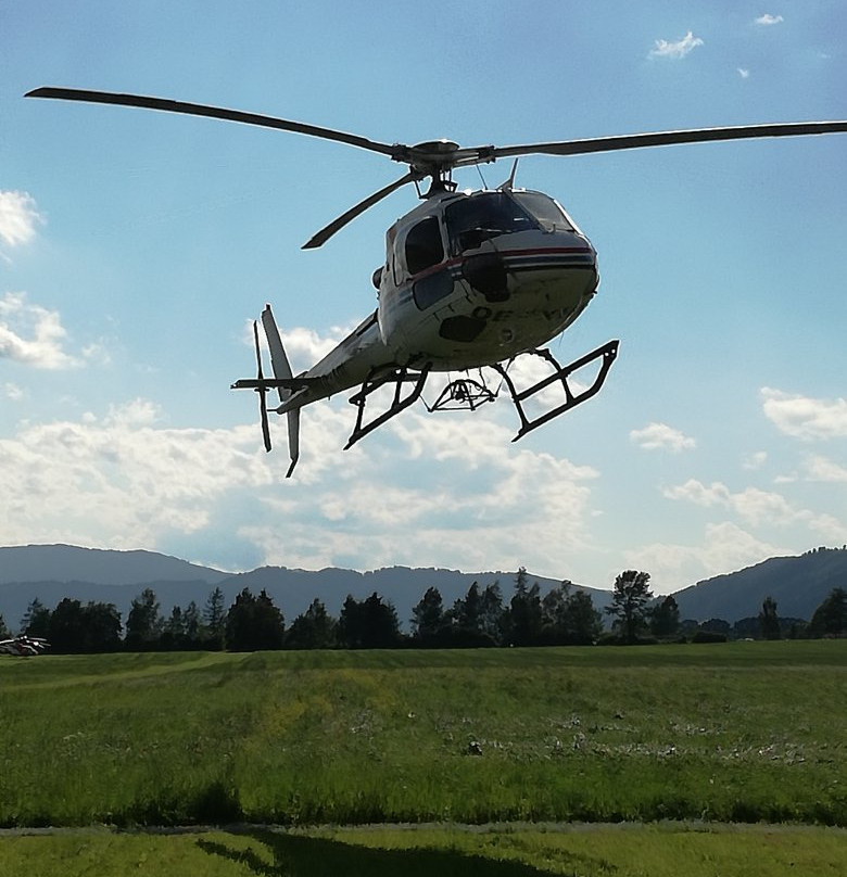 Hotel Der Hechl主图