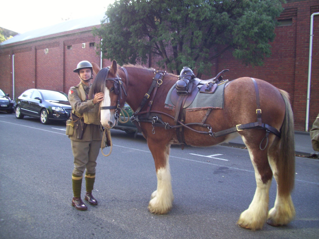 The Light Horse & Field Artillery Museum-Nar Nar Goon必去景点