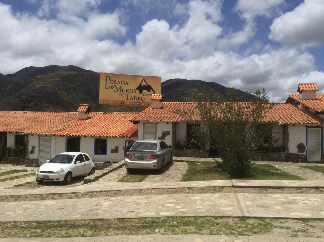 Los Muros de Tadeo