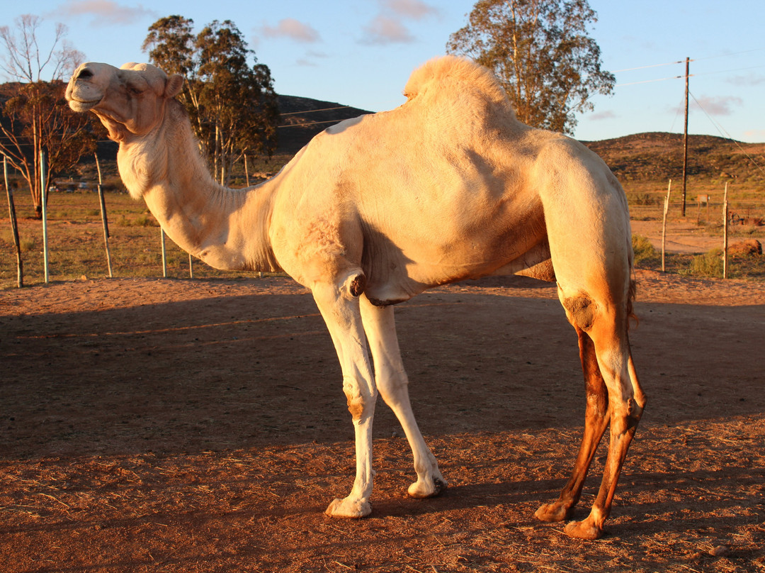 Hananja Lodge and Restaurant主图